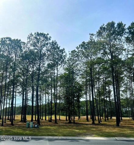 6251 Castlebrook Way SW, Ocean Isle Beach, NC 28469