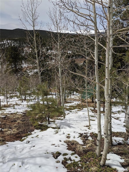 63 P72, Bailey, CO 80421