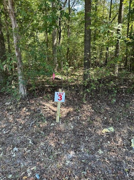 Lot 3 Sales Landing Rd, Camden, TN 38320