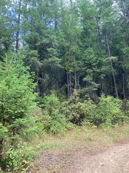 1752 Duncan Rd, Chewelah, WA 99109