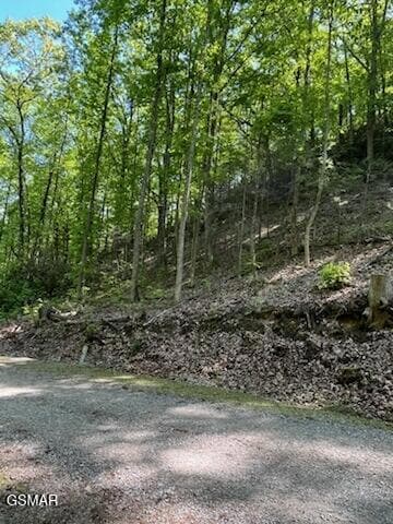 0 Reagan Springs Rd Unit 307121, Seymour, TN 37865
