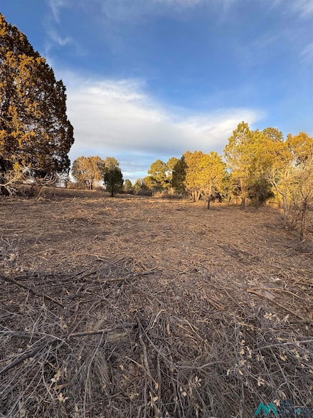 153 Eldrado Dr Dr, Timberon, NM 88350