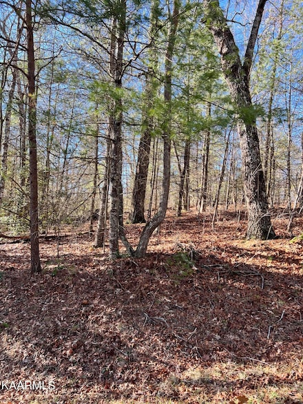 162 Natchez Cir, Crossville, TN 38558