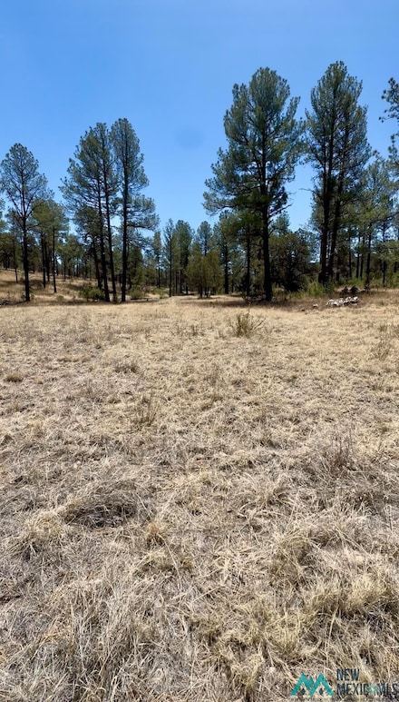 Lot7 Surcingle Ave, Timberon, NM 88350