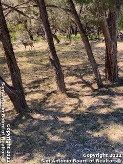 0 Blue Gill Unit 1859008, Lakehills, TX 78063