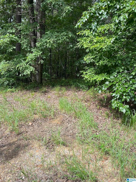 0 Willow Way Dr Unit 16 21391003, Lake View, AL 35111