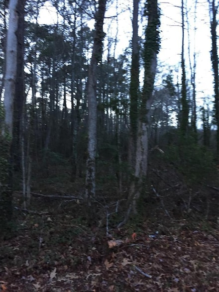 Lot6&7 Daugherty Rd Unit 6 & 7, Onley, VA 23418