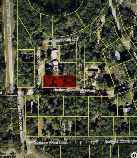 10385 NE 224th Place Rd, Fort McCoy, FL 32134