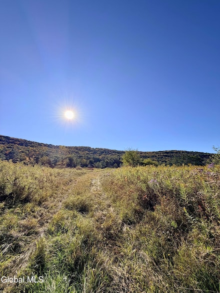 L 36 New York 30, Gilboa, NY 12076