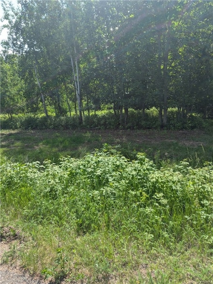 Lot 2 361st St, Colburn, WI 54768
