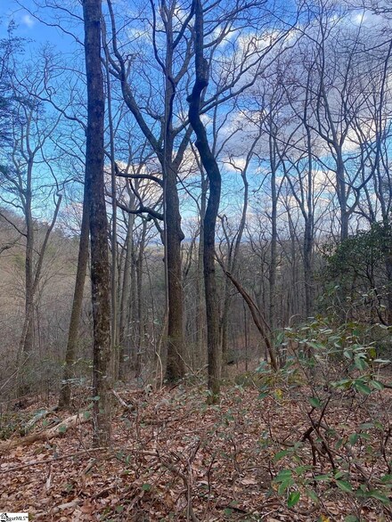 0 Moonshine Falls Trail, Landrum, SC 29356