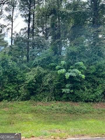 0 N Spring Creek Cir, Cobb, GA 31735