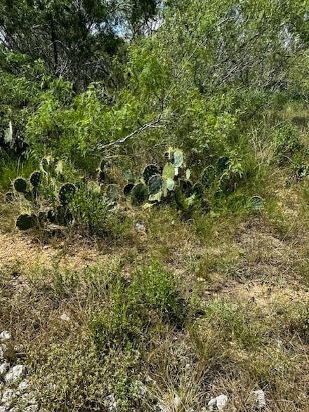 Lot 4 County Road 420, Waelder, TX 78959