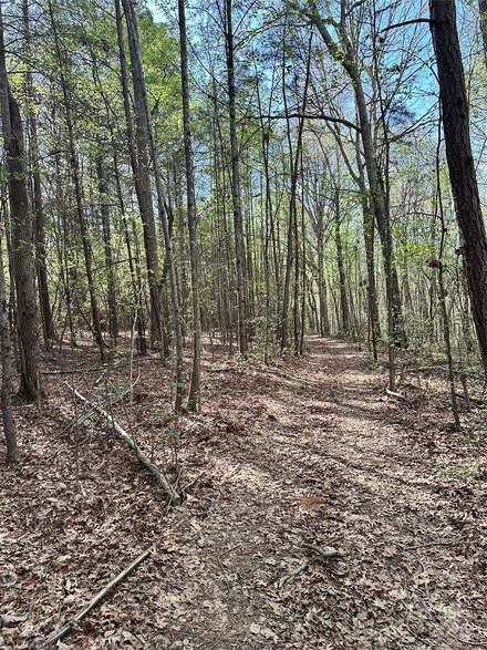 0000 Bud Arndt Rd, Maiden, NC 28650