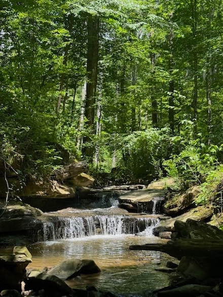 0 Monterey Hwy Unit LotWP002 20949543, Monterey, TN 38574