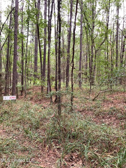 Lots25 Fir St, Pearl, MS 39208