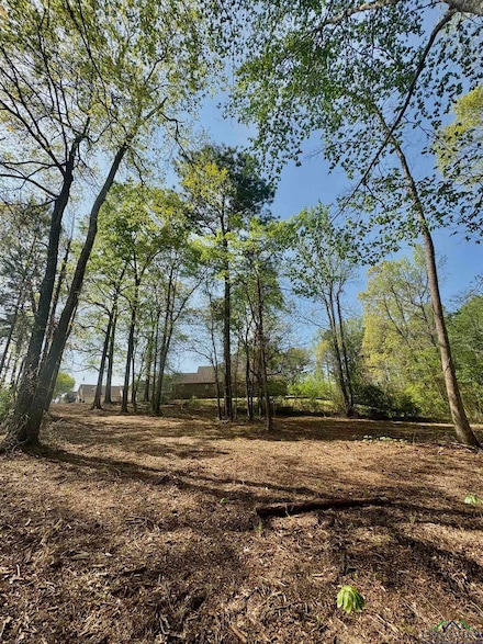 TBD Travis Peak Trail, White Oak, TX 75693