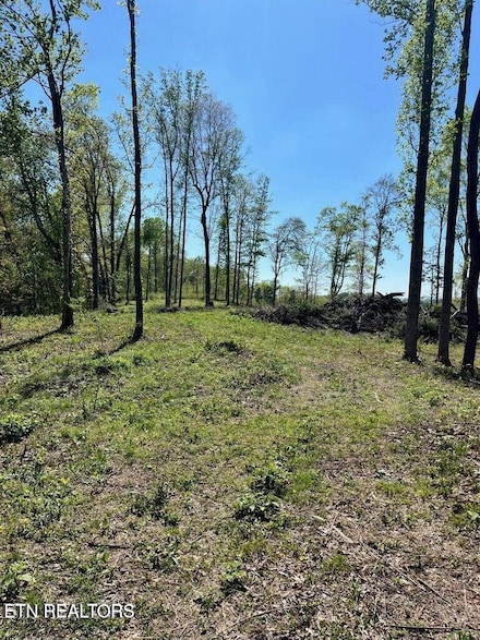 0 Tract 2 Mill Creek Rd, Andersonville, TN 37705