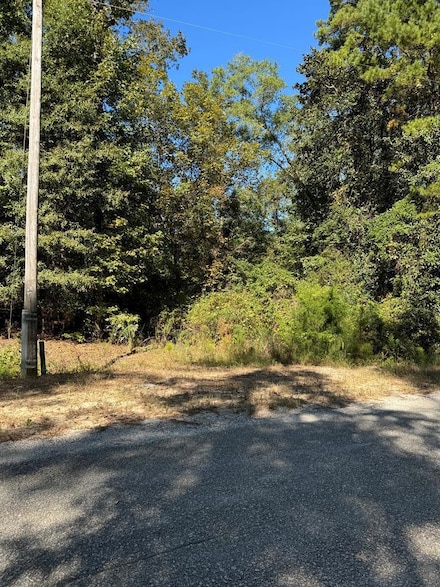 Lot 5 S Galaxie Dr, Abbeville, AL 36310