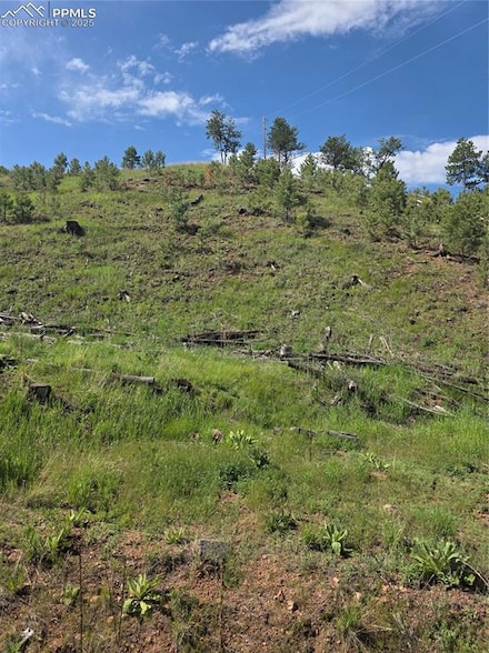 14874 S Evergreen St, Woodland Park, CO 80863