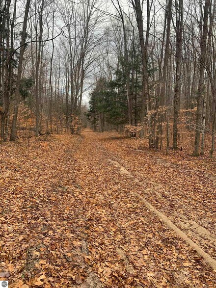 Near Stark Rd, Mancelona, MI 49659