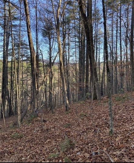TBD Lots 1 & 2 Toe River Ln, Newland, NC 28657