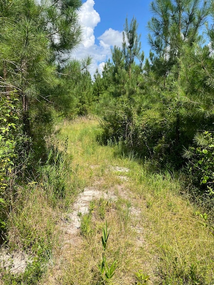 Bff 5 Brunson Teal Rd Unit Bff 5, Kershaw, SC 29067