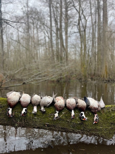 Gurman Powell Rd Lot Unit WP001, Kenansville, NC 28349