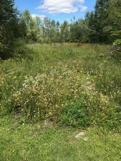 0 Mount Pleasant Rd Unit 1440983, Stetson, ME 04488