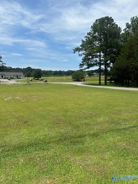.5 Acres County Road 437, Cullman, AL 35057