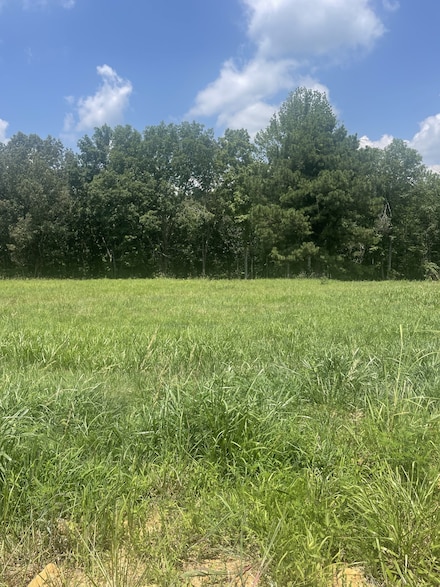 0 Summerlake Ct Unit RTC2936676, Winchester, TN 37398