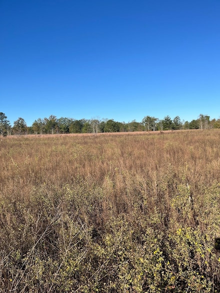 Bhl 3 Boise Cascade Rd, Bethune, SC 29009