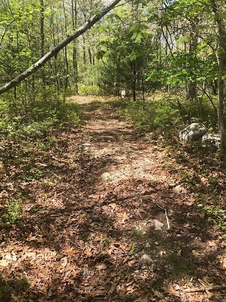 451R Gilbert St, Mansfield, MA 02048