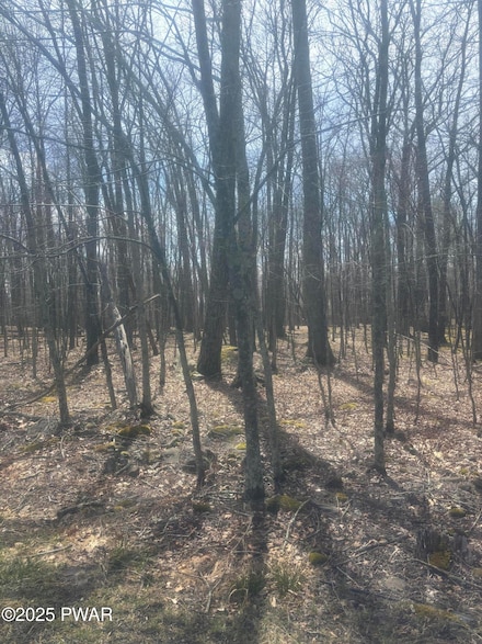 0 Upper Lakeview Dr, Fawn Lake Forest, PA 18428