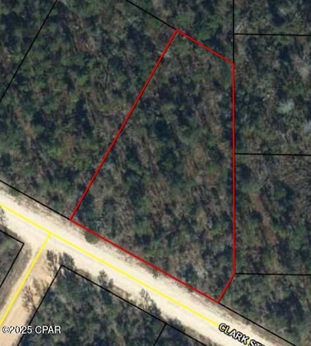 0 Clark St, Alford, FL 32420
