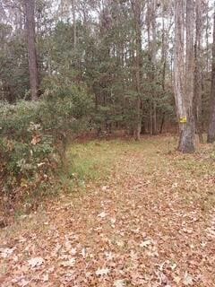 Lot 208 Prices Bridge Ln, Walterboro, SC 29488
