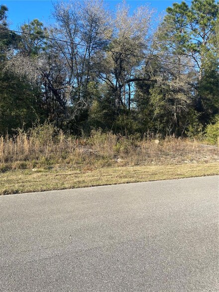 2935 W Manitoba Place, Citrus Springs, FL 34433