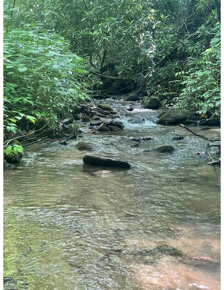 2406 Sawmill Creek Rd, Bryson City, NC 28713