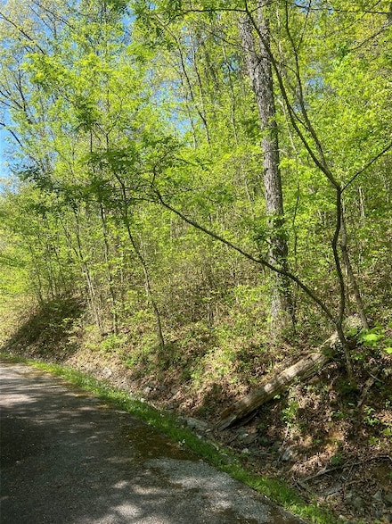 23 Green Drake Ln, Cullowhee, NC 28723