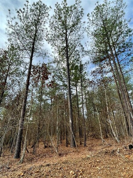 720 Timber Creek Trails South Xl, Broken Bow, OK 74728