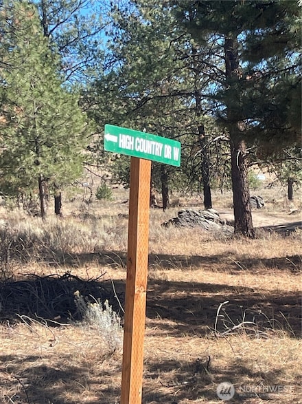 0 High Country Rd W Unit NWM2438687, Tonasket, WA 98855