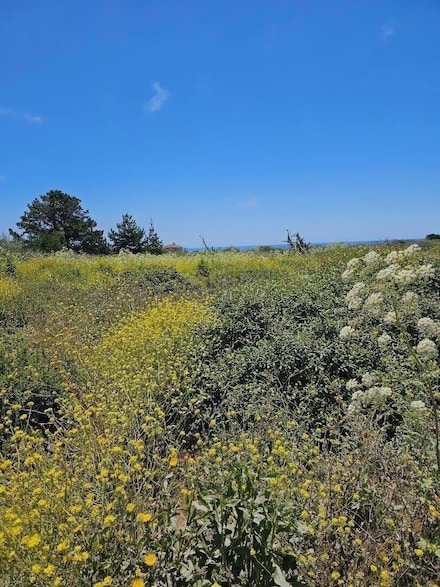 00 Vienna, Half Moon Bay, CA 94019