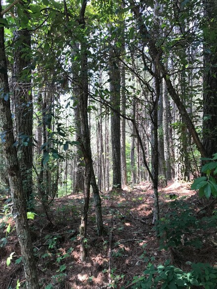 0 Hiwassee St Unit 1375837, Ducktown, TN 37326