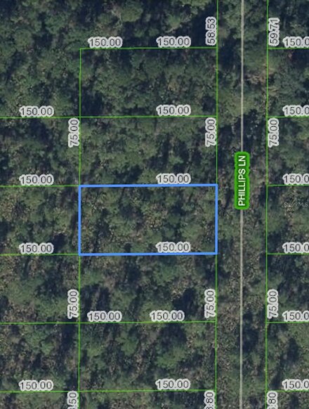 712 Phillips Rd, Lake Placid, FL 33852