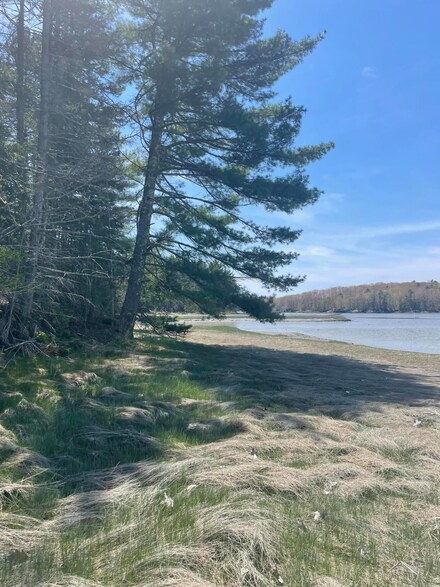 Lot #81C/D Dutch Neck Rd, Waldoboro, ME 04572
