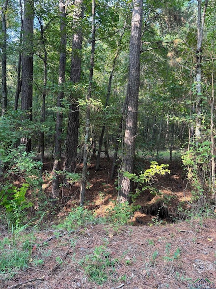 TBD County Road 2592, Naples, TX 75568