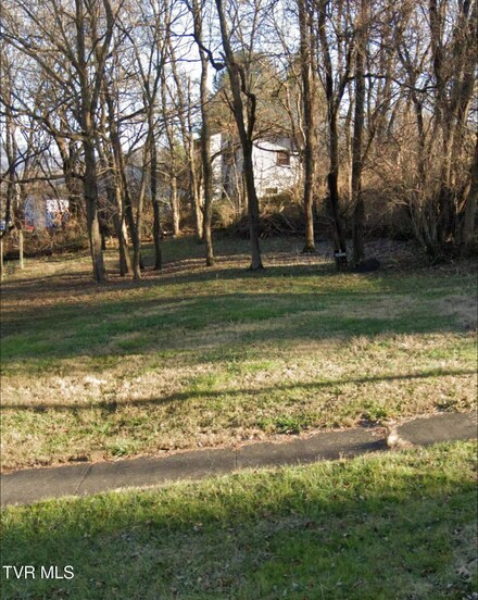 Tbd Oak St, Elizabethton, TN 37643