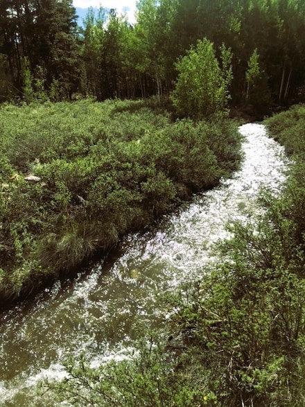 542 Thick Spike Rd, Fairplay, CO 80440