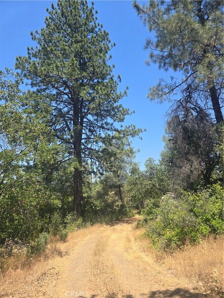 0 Wild Iris Ln Unit MD24137557, North Fork, CA 93643