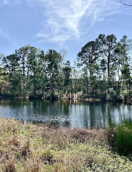 Tbd County Road 4600, Kennard, TX 75847